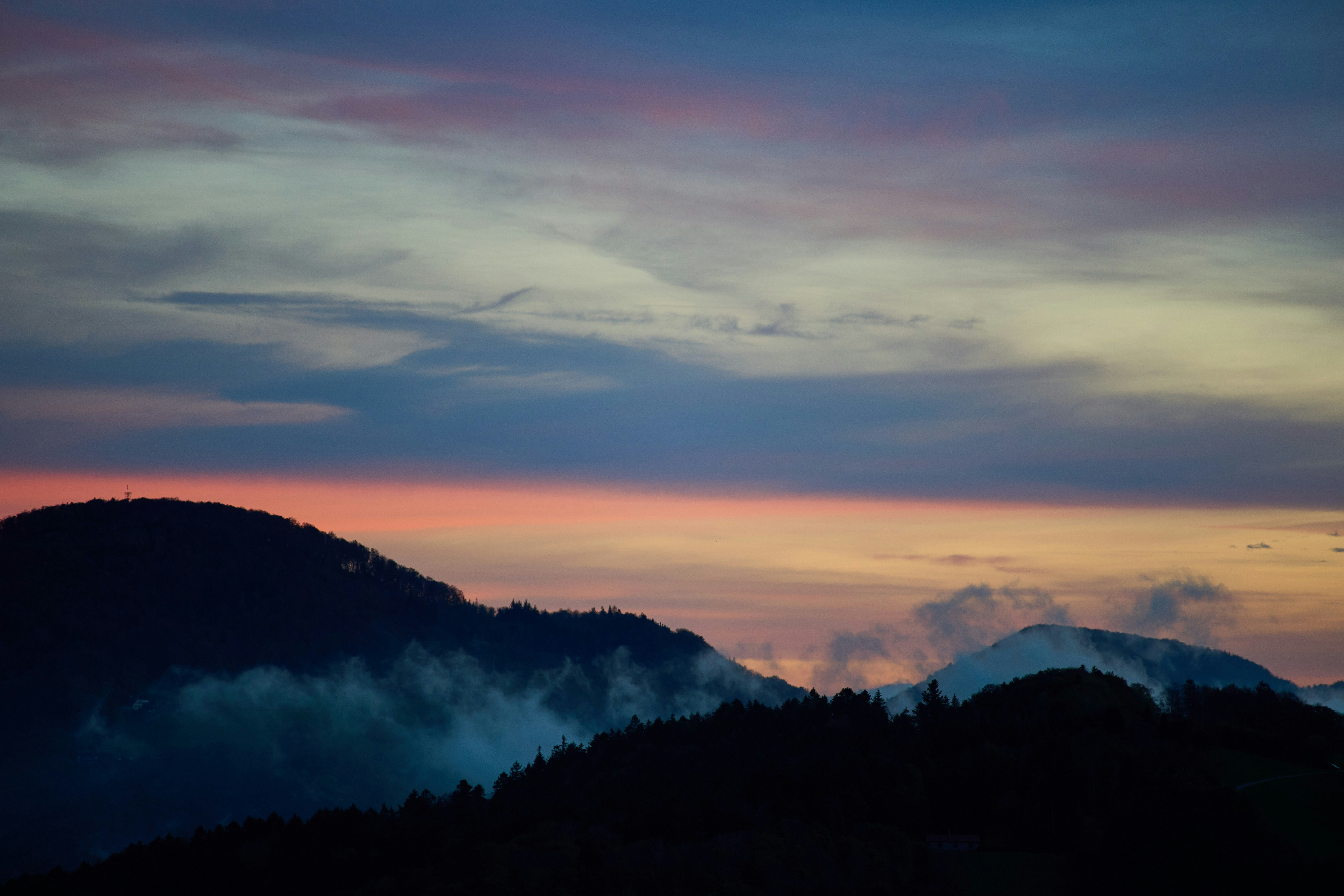 Photo by wolfgang_hasselmann