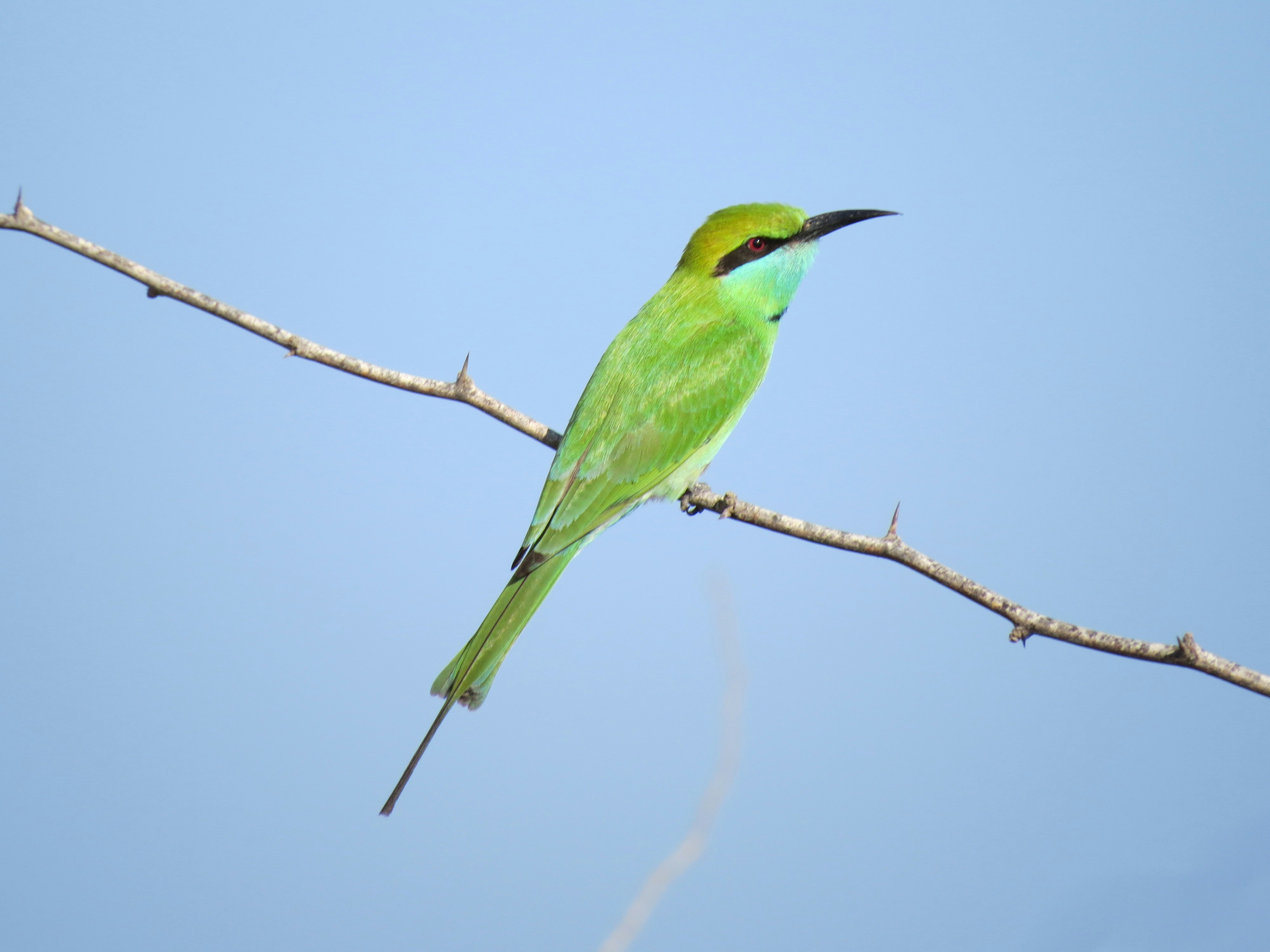 Photo by aliarjmandi