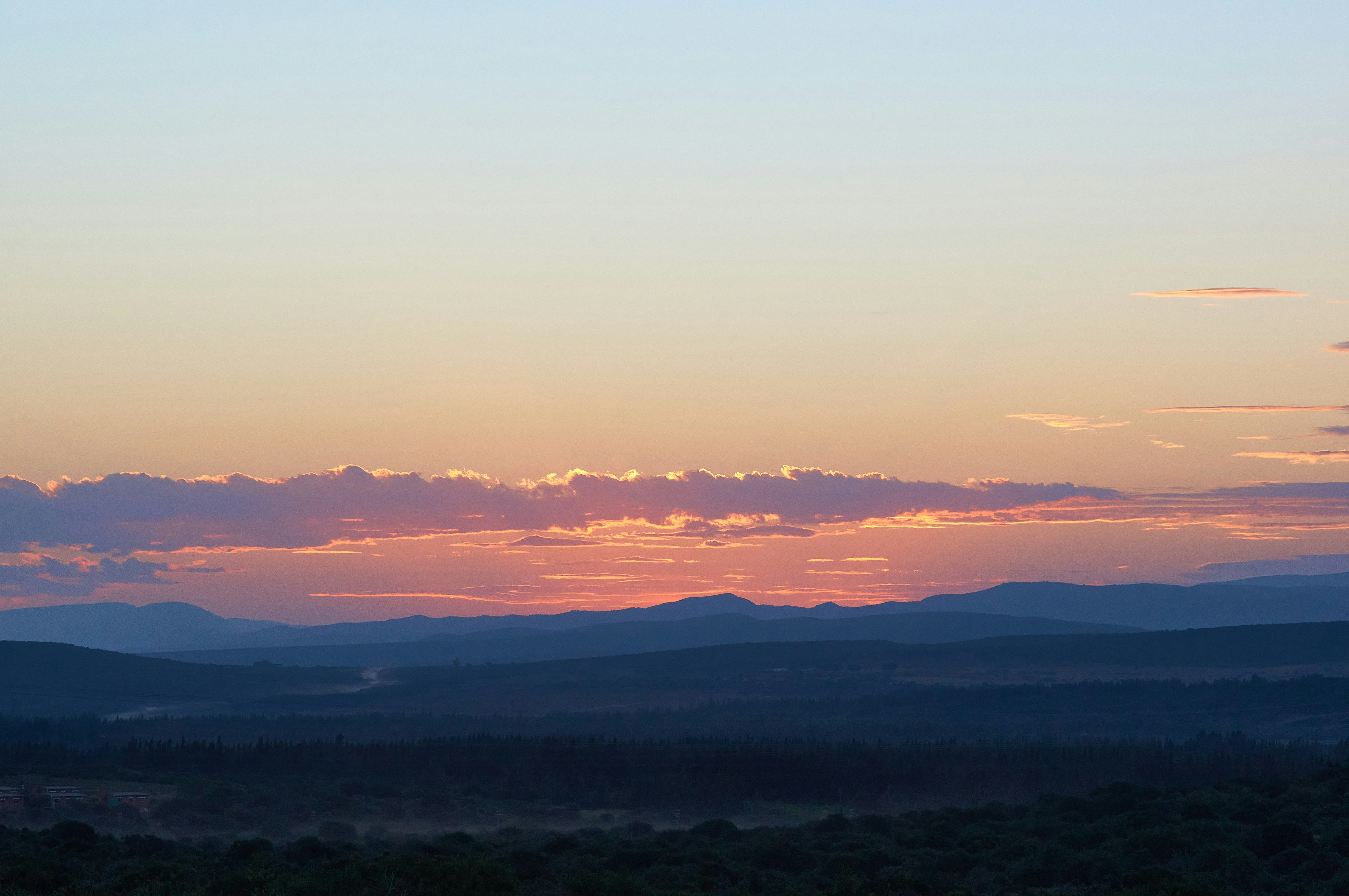 Photo by wolfgang_hasselmann