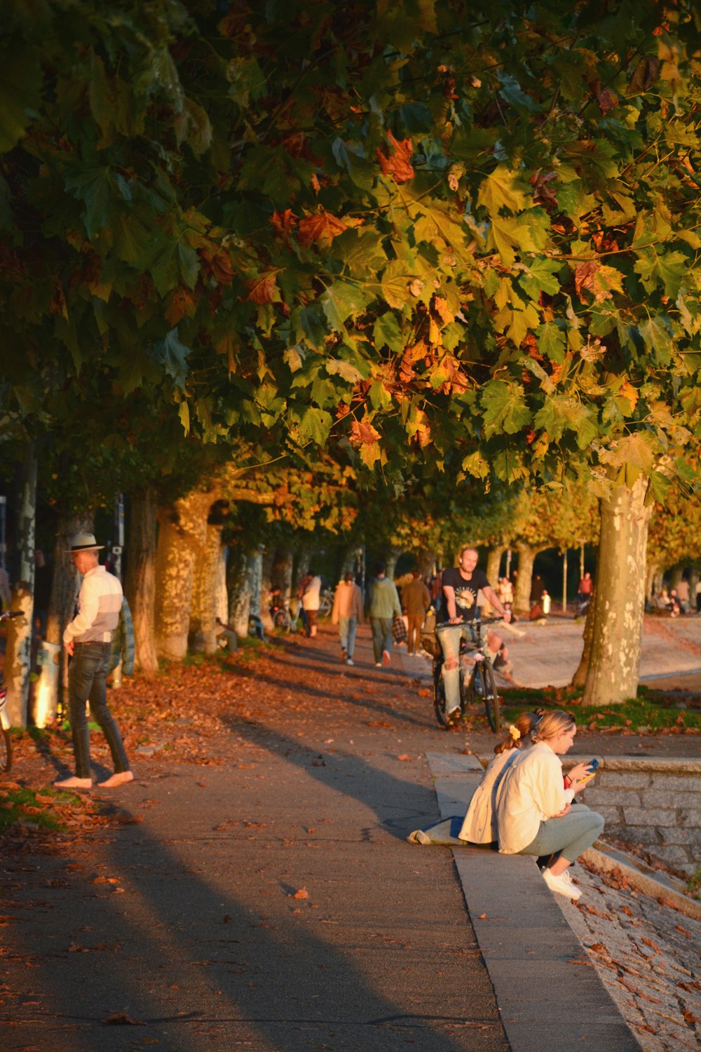 a group of people sitting on a sidewalk next to trees