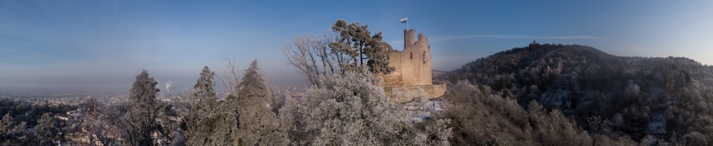 a castle on top of a mountain surrounded by trees