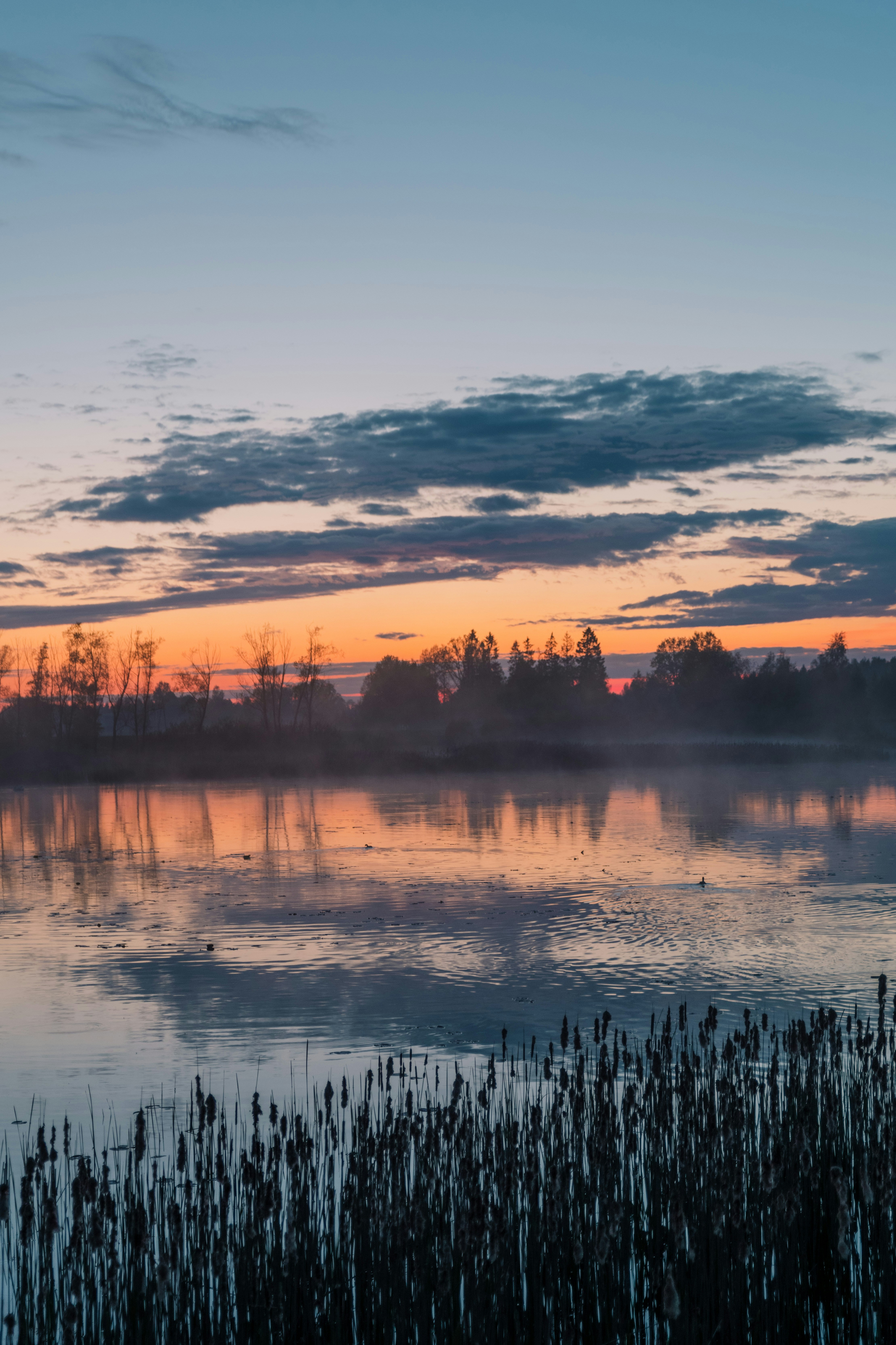 Photo by anitaaustvika