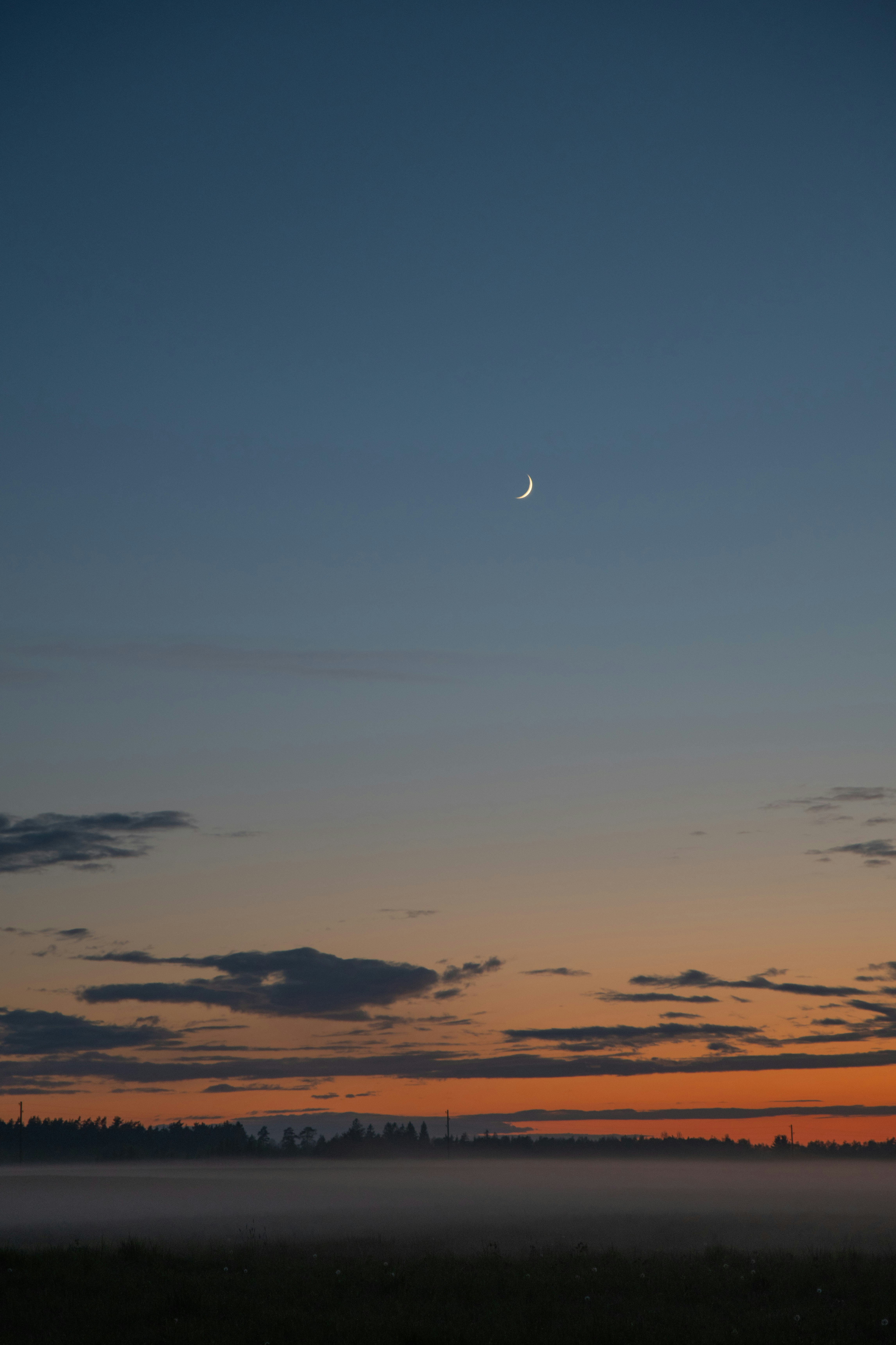 Photo by anitaaustvika