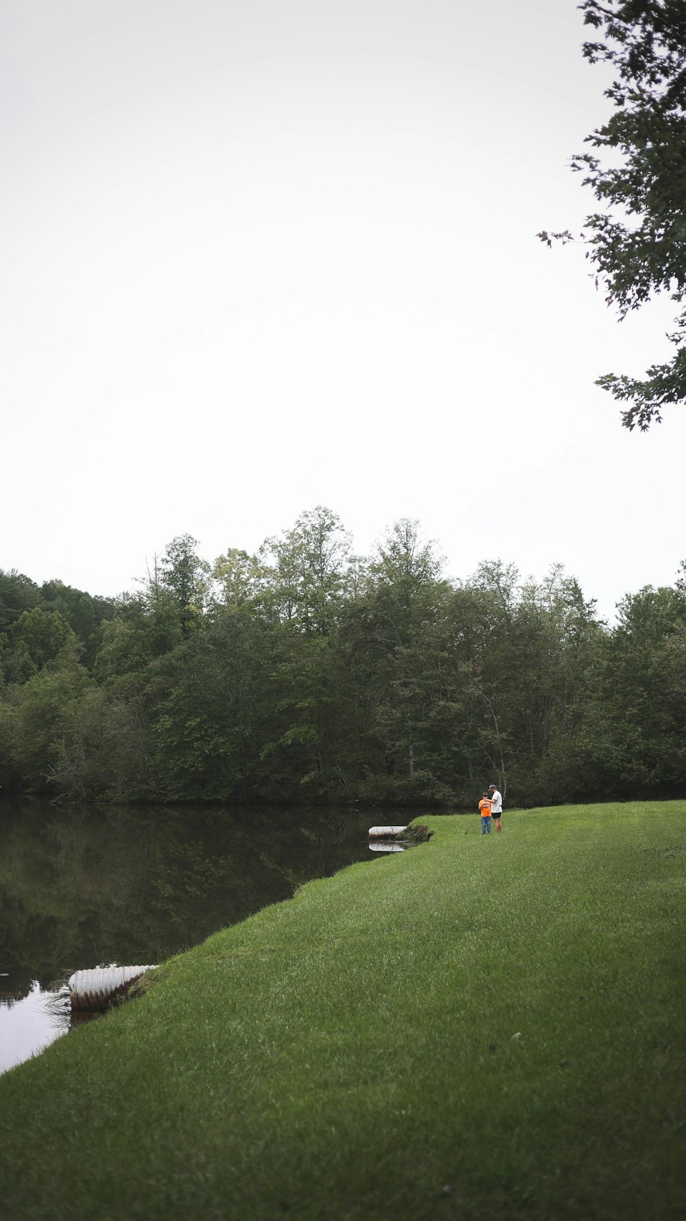 a couple of people standing on top of a lush green field next to a lake