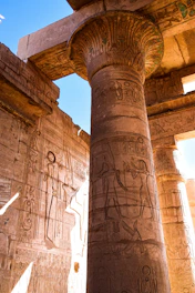 A detailed close-up of an ancient Egyptian hieroglyph carved into sandstone, glowing softly in warm sunlight.