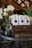 A rustic setting features a bouquet of white roses in a glass vase alongside several paper bags of dog treats on a wooden crate. The background includes wood paneling and hanging lights, enhancing the warm and cozy atmosphere.