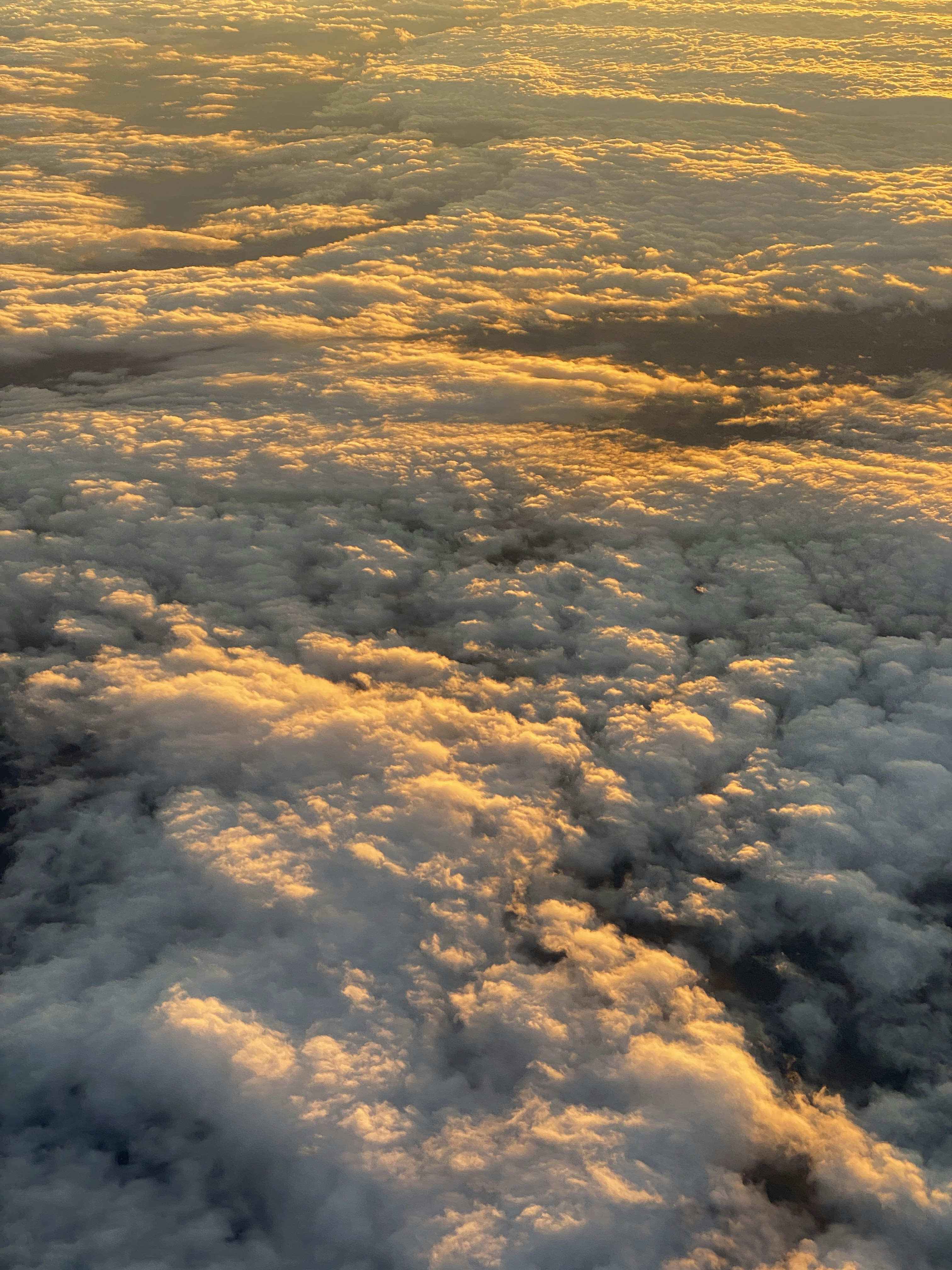 Photo by filipp_roman_photography