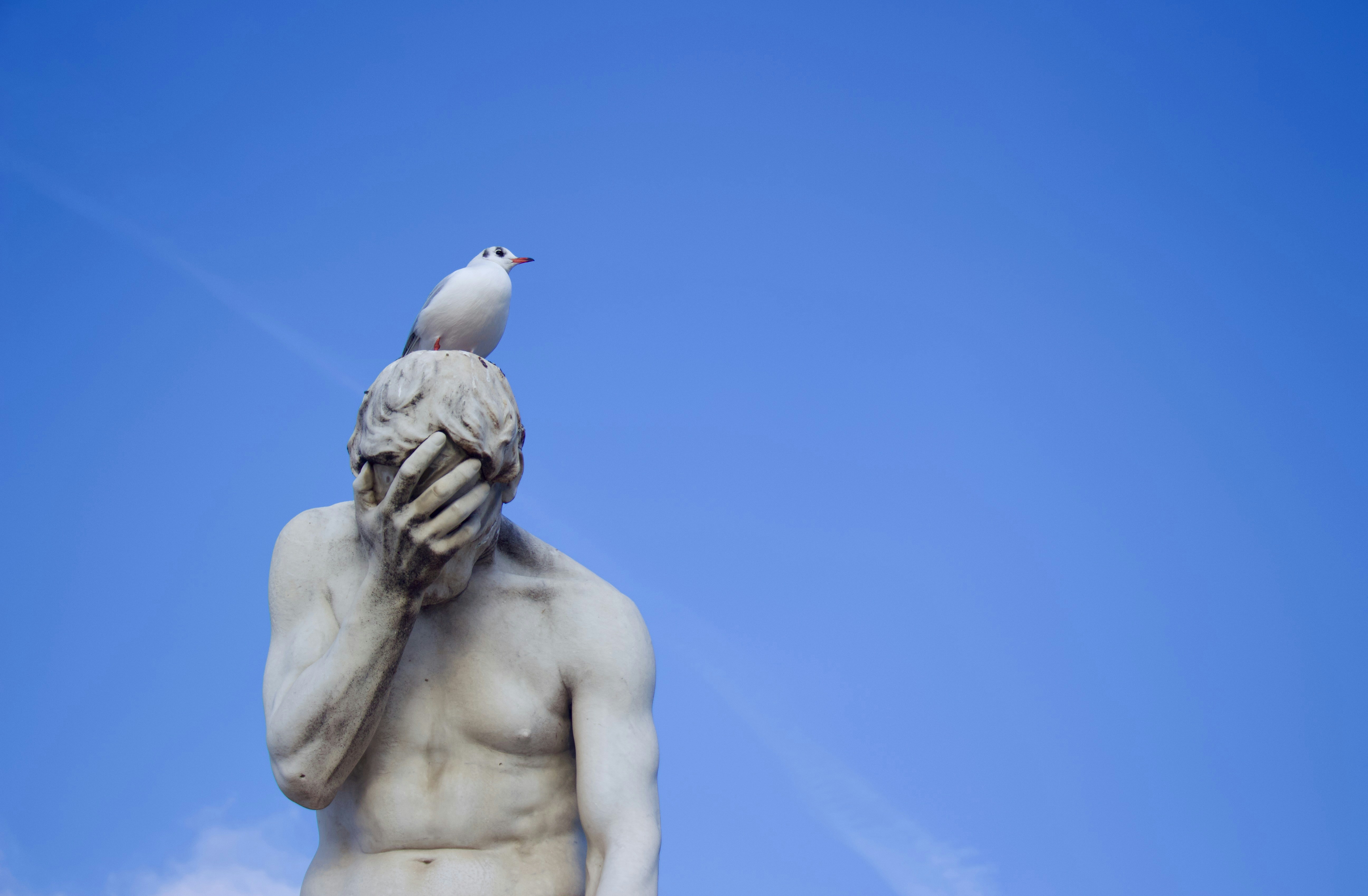 From Side Hustle Shame to Solo Success