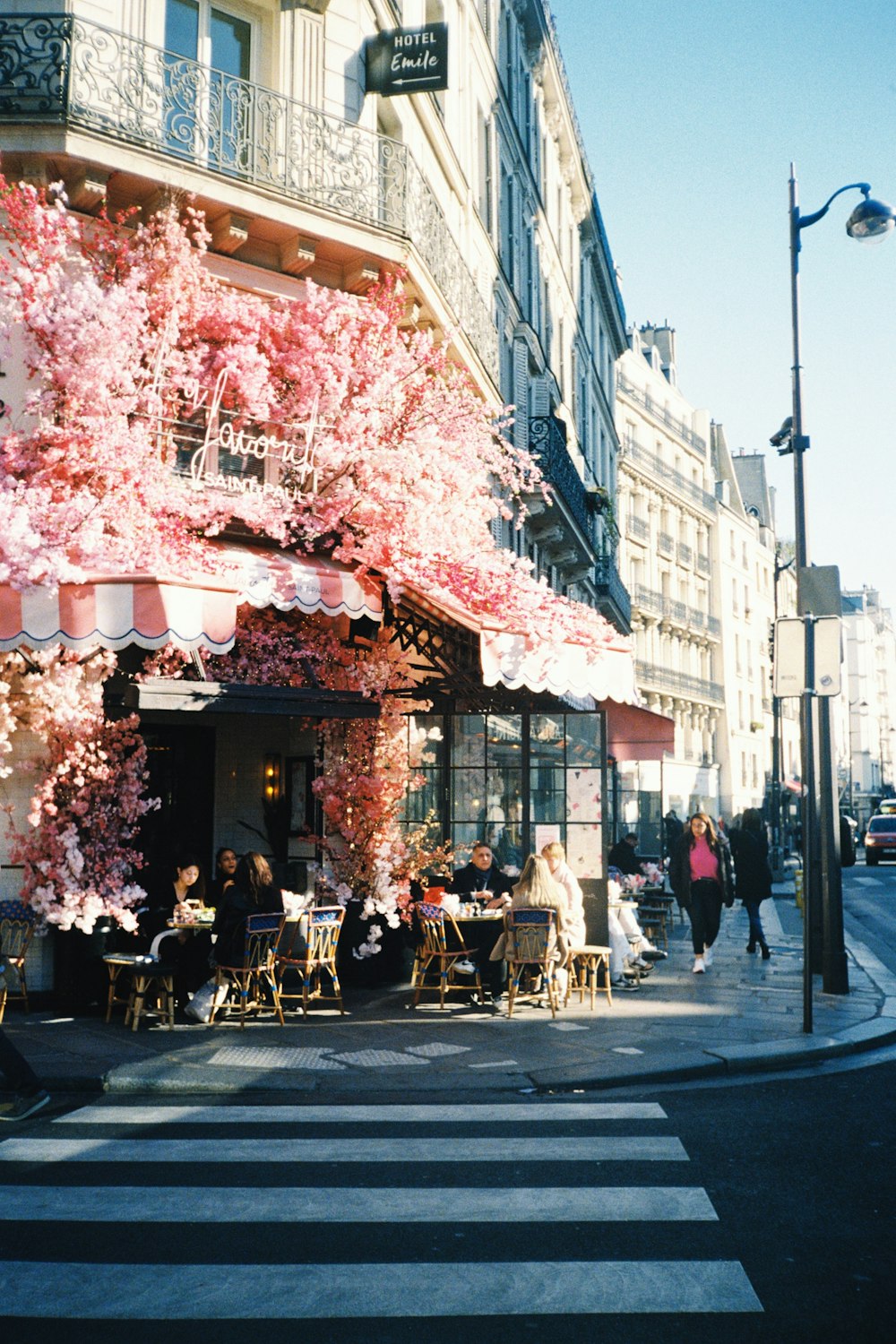 a street corner with people sitting at tables under a pink tree