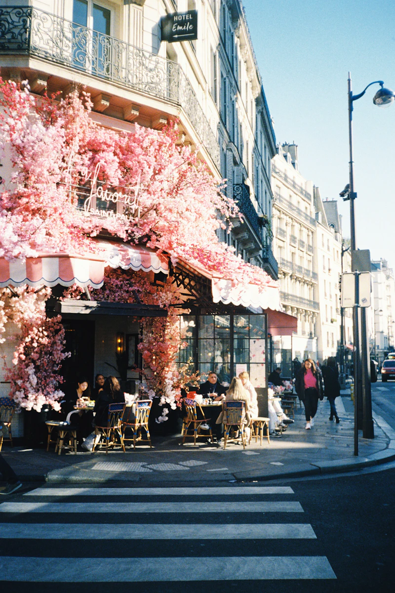 A street corner café beneath a pink tree