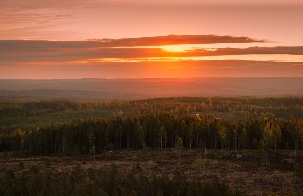 the sun is setting over a forested area