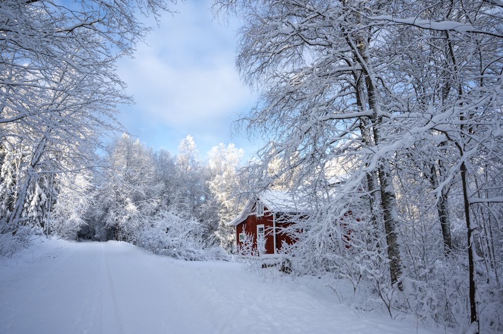 a red cabin in the middle of a snowy forest