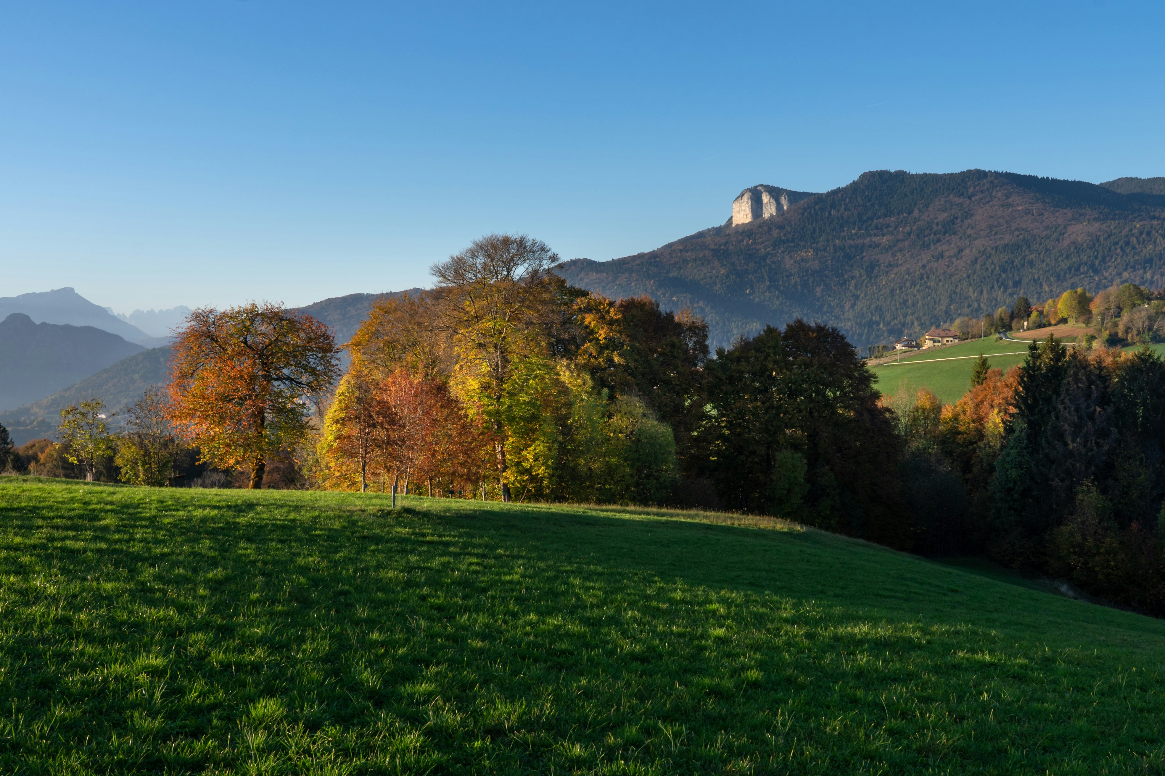 un campo erboso con le montagne sullo sfondo