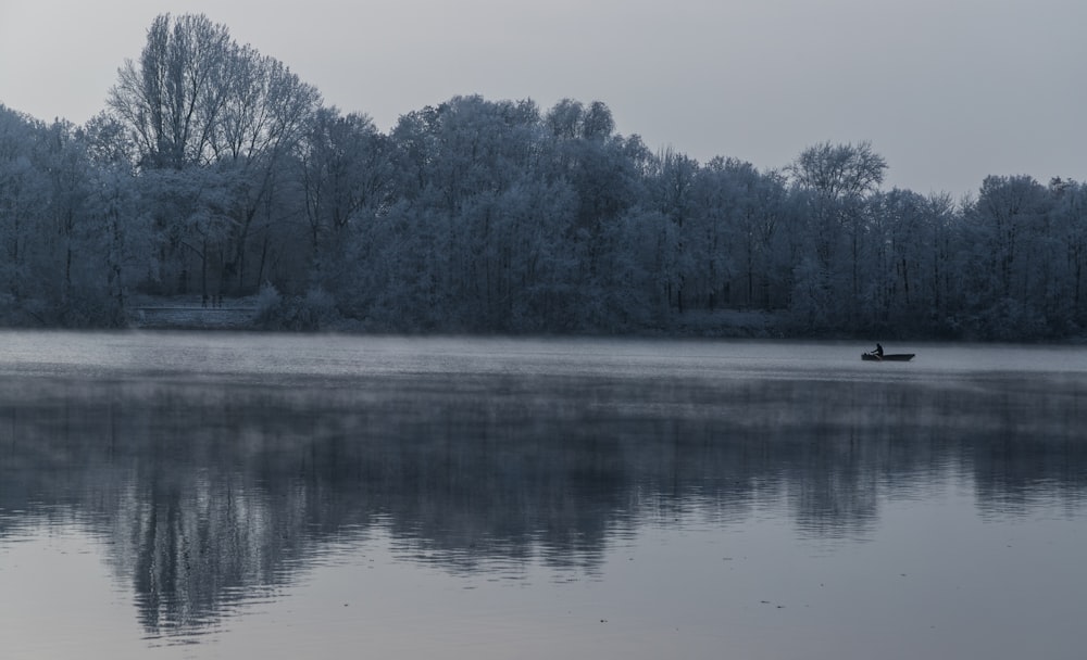 a boat floating on top of a lake next to a forest