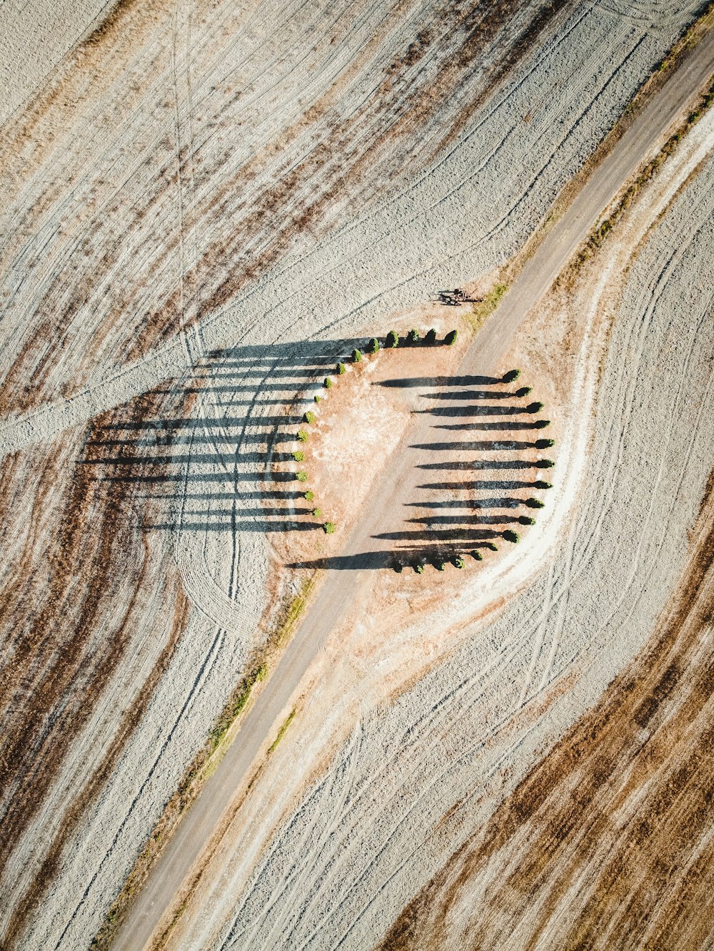 an aerial view of a dirt field with trees