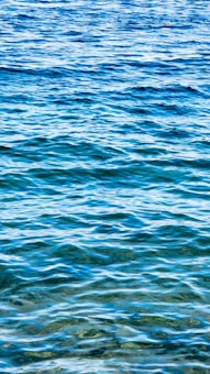 Vibrant blue ocean waves gently ripple across the surface, reflecting light and creating a serene, calming effect.