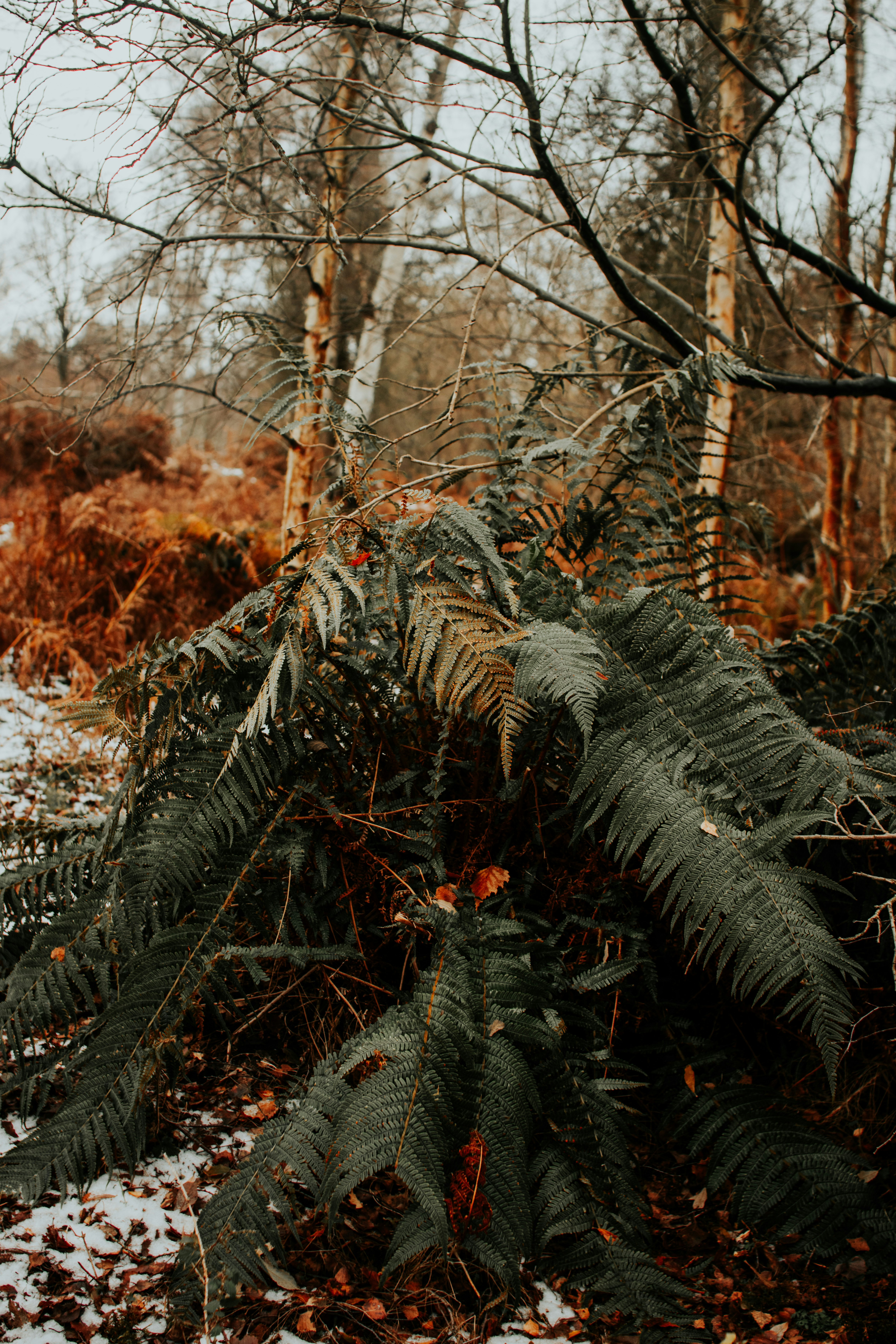 Photo by lanathegraves