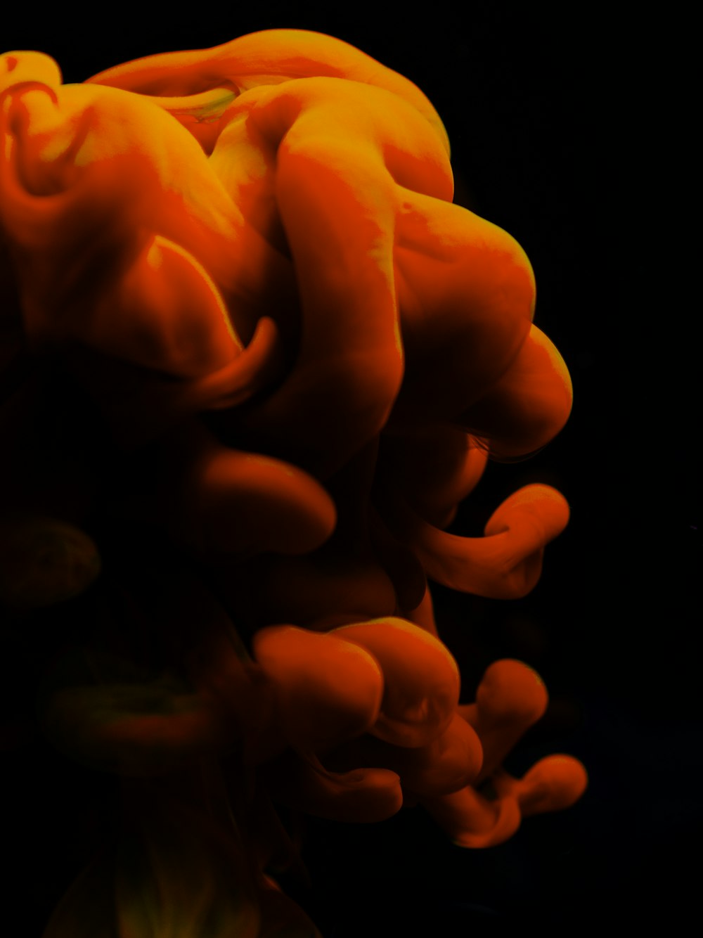 a close up of an orange substance on a black background