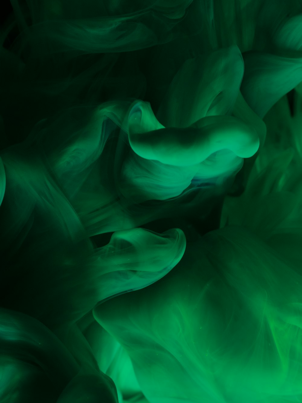 a close up of a cell phone with a green background