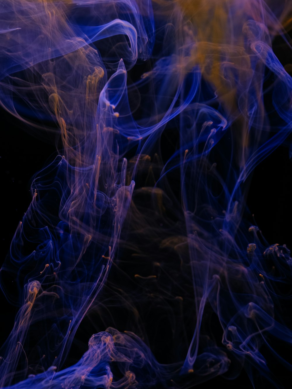 blue and yellow smoke is shown against a black background