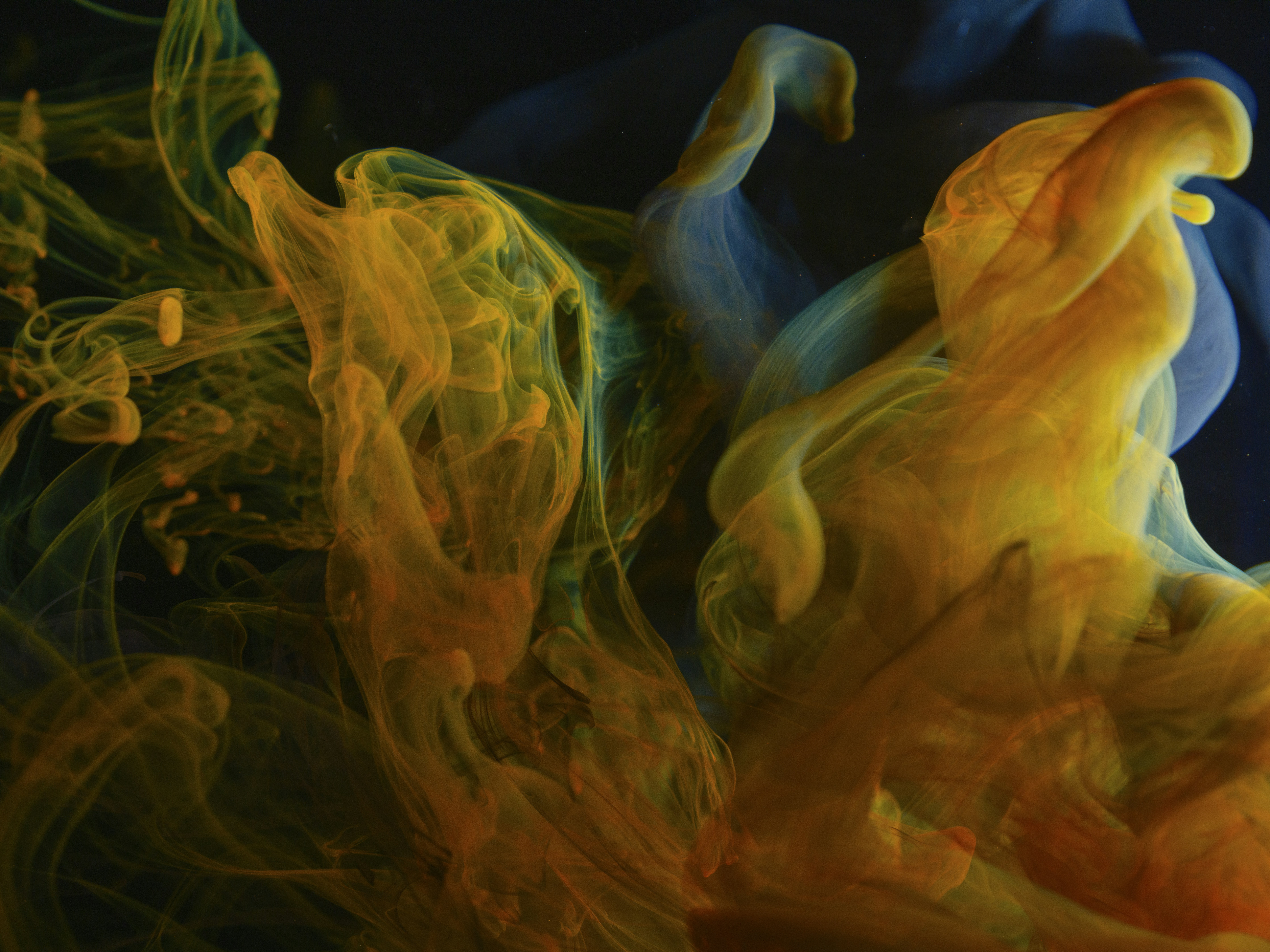 Photo by enginakyurt