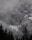 a mountain covered in snow surrounded by trees