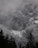a mountain covered in snow surrounded by trees