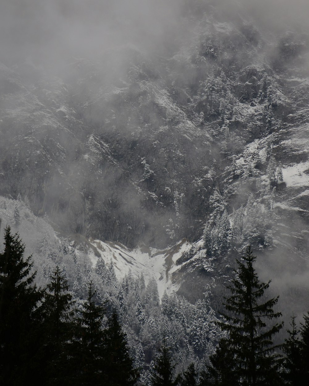 ein schneebedeckter Berg, umgeben von Bäumen
