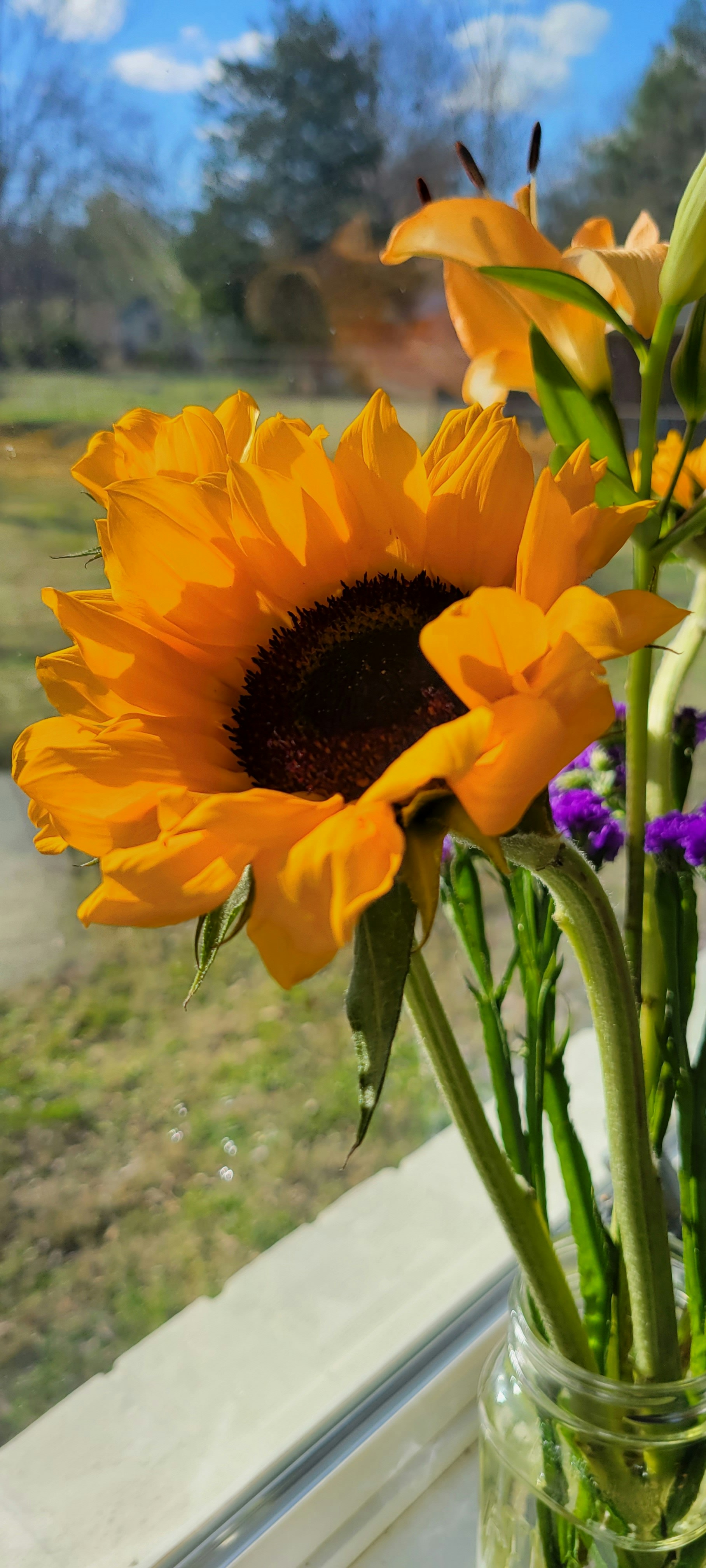 Photo by sierra_williams00