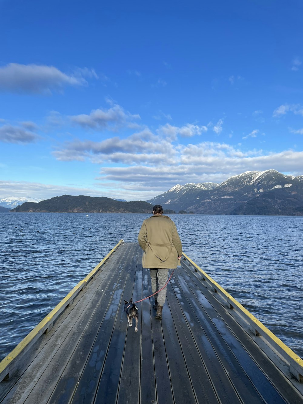 a person walking a dog on a dock