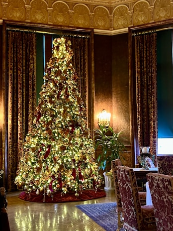 A large, elaborately decorated Christmas tree adorned with golden lights, red ribbons, and gold ornaments stands in a luxurious room. The room features ornate dark curtains, a richly patterned carpet, and elegant furniture, including a finely set dining table with upholstered chairs. A green plant is positioned next to the tree, adding to the festive and opulent atmosphere.
