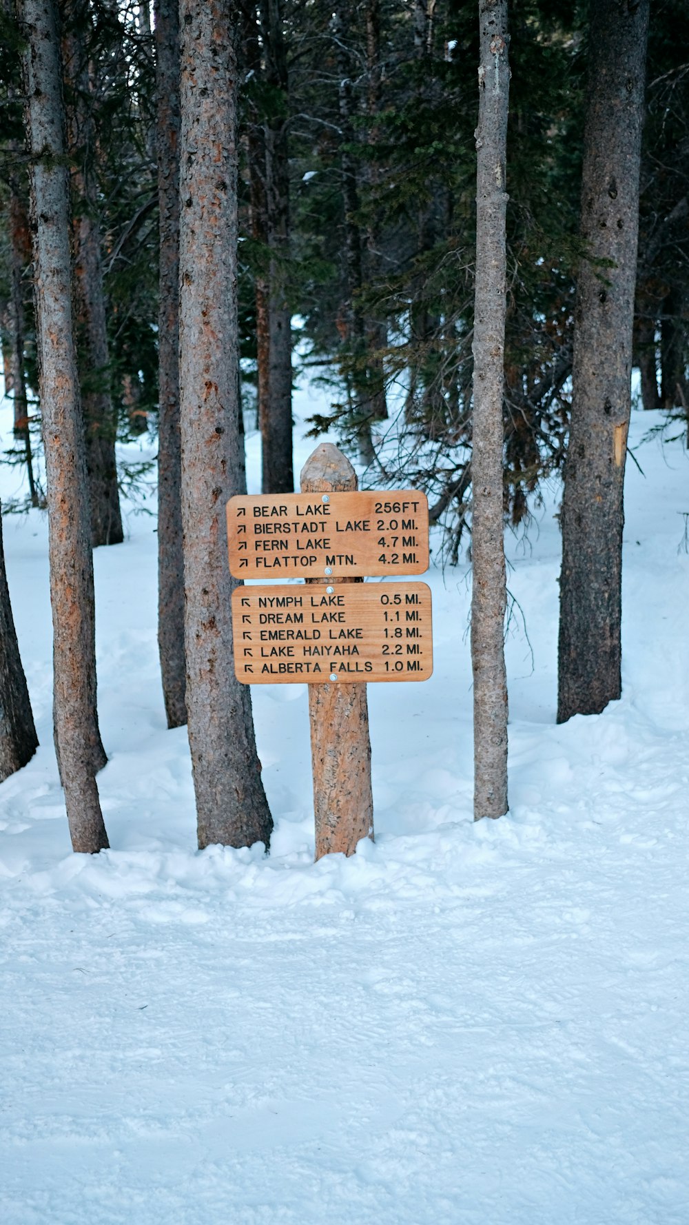 a sign in the middle of a snowy forest