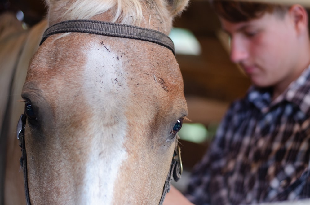 a man standing next to a brown and white horse