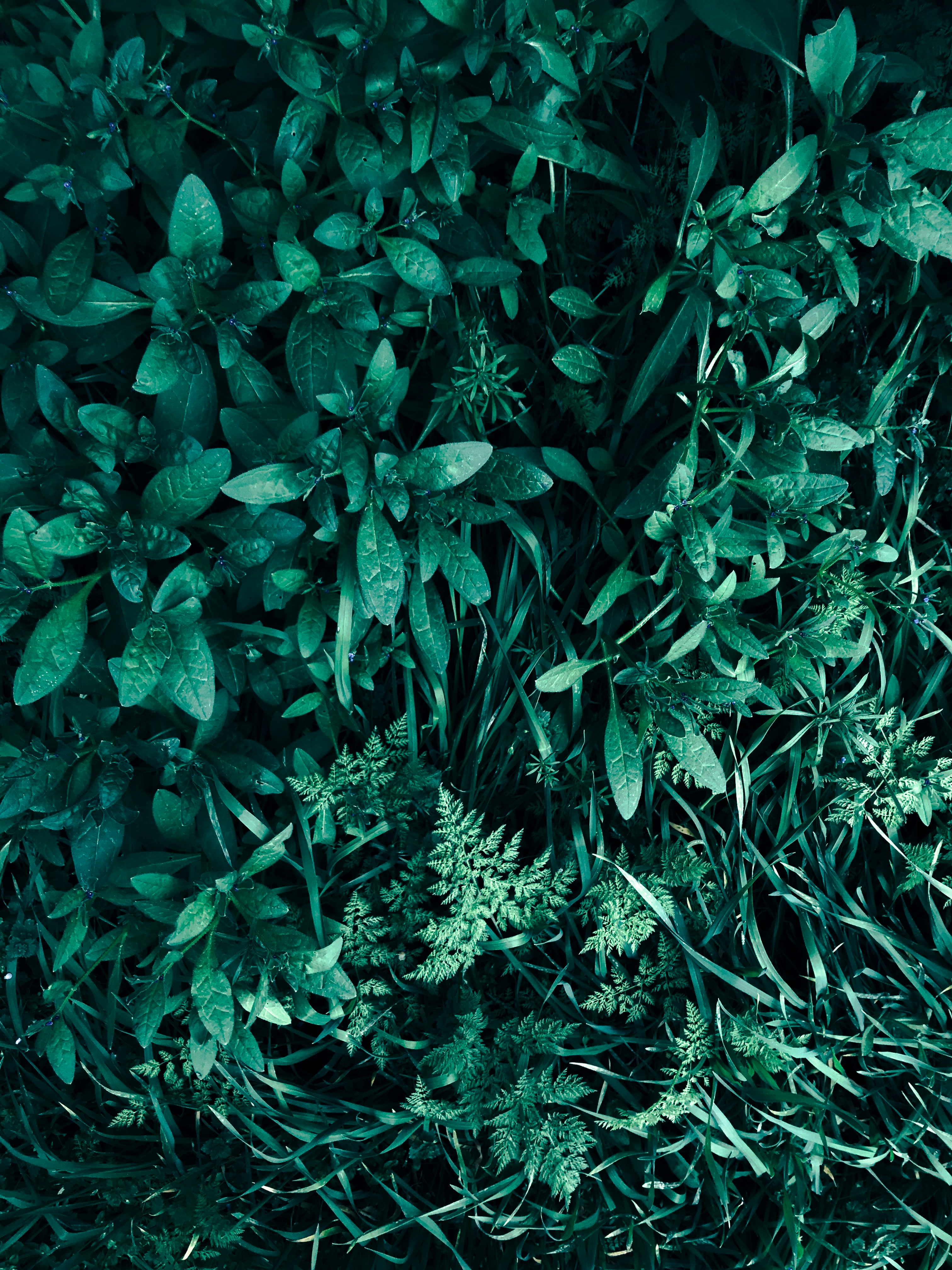 Photo by akperemagn