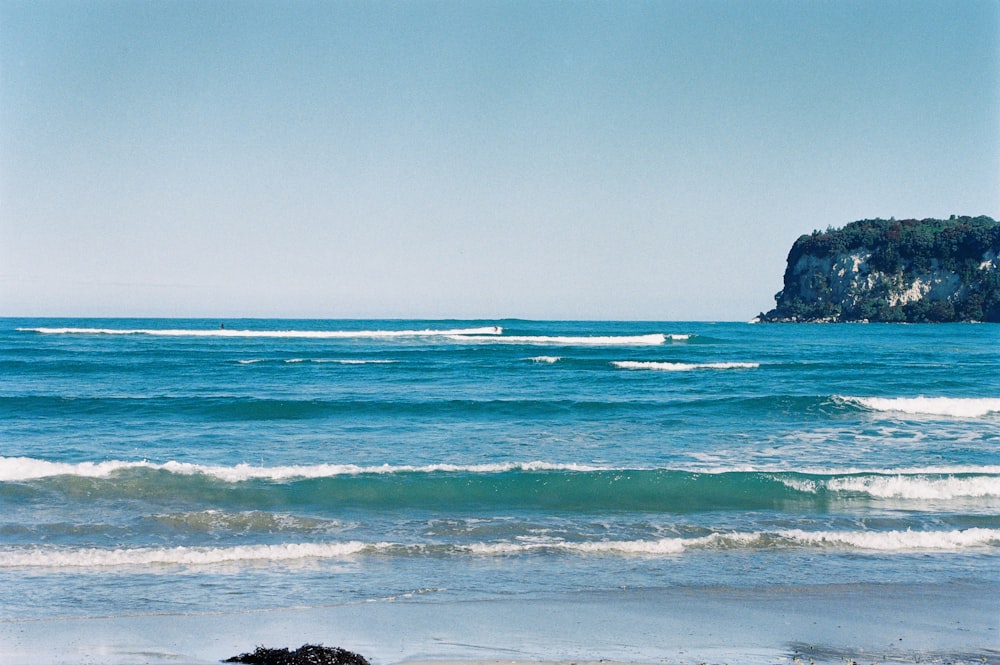 a dog laying on a beach next to the ocean