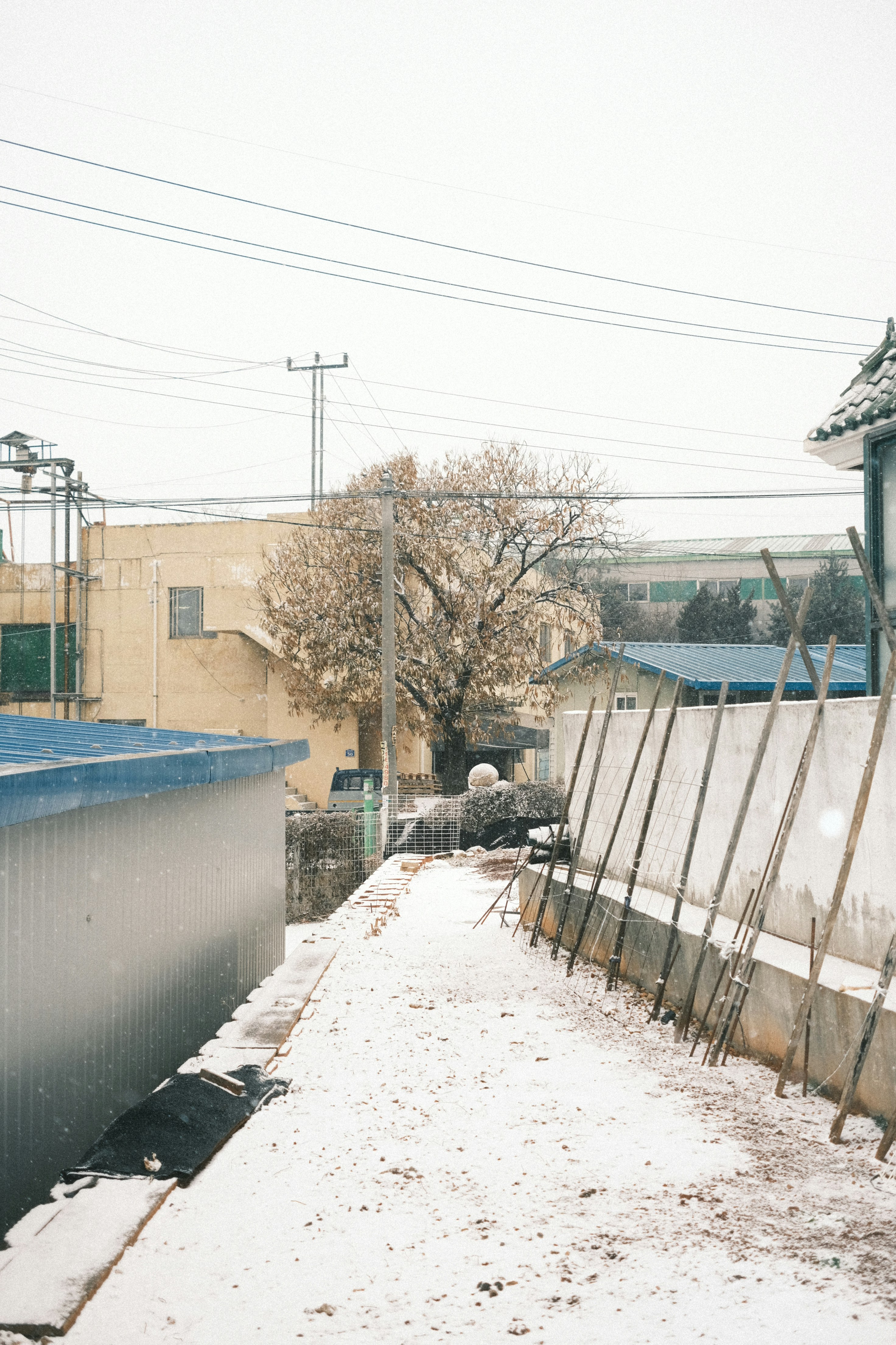 Photo by undermyarchive