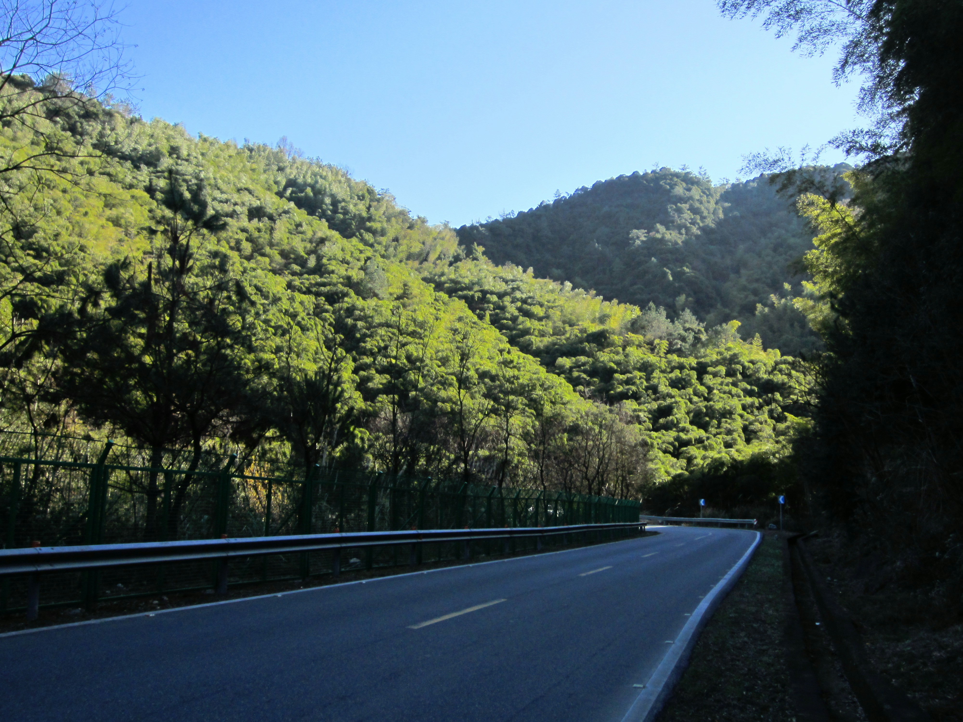 a car driving down a road next to a lush green hillside