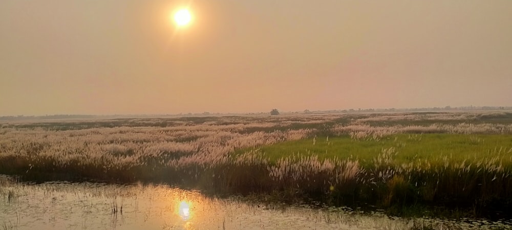 the sun is setting over a marshy marsh