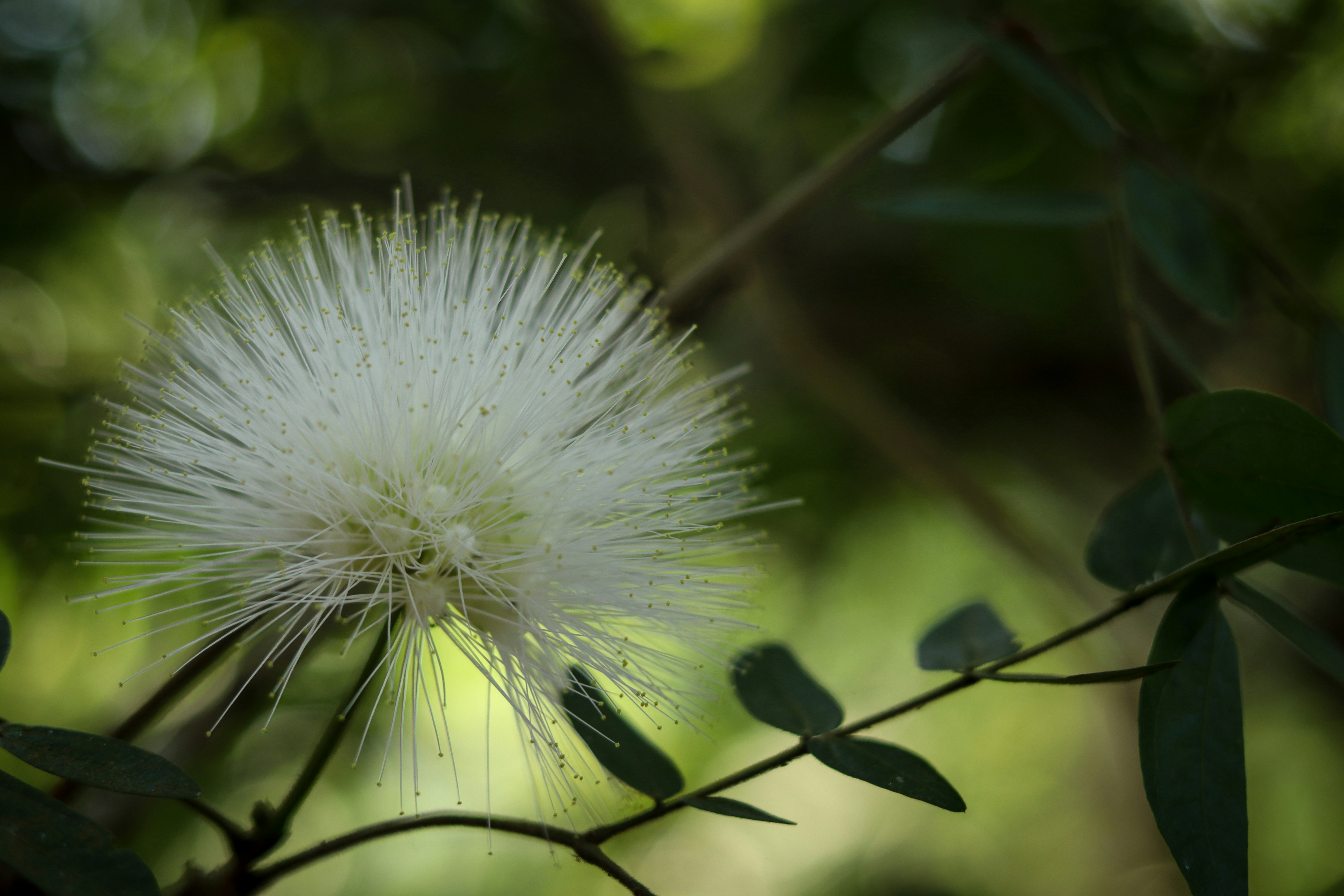 Photo by dark_matter_09