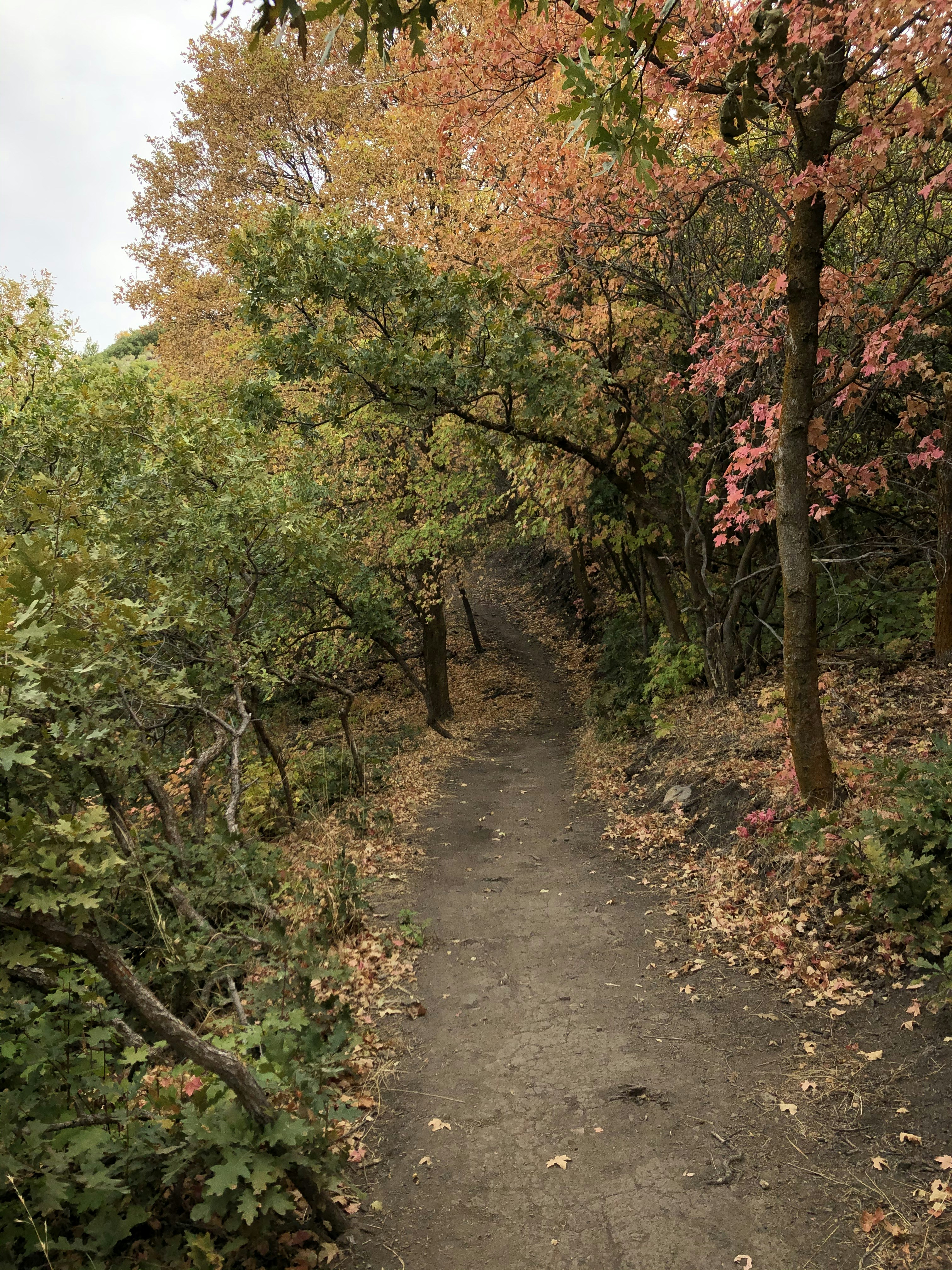 Photo by tyler_mower