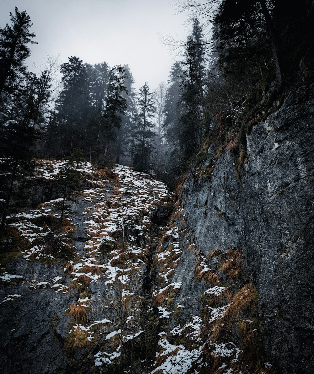 a rocky cliff with snow on the ground and trees in the background