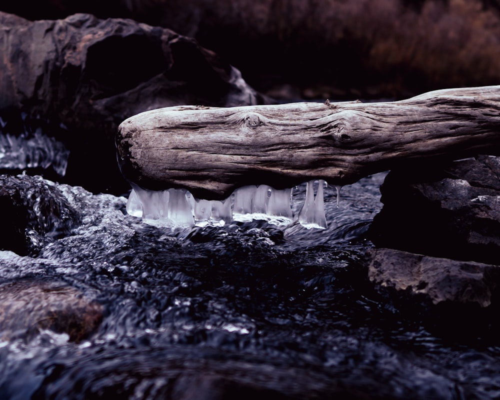 a log sticking out of a stream of water