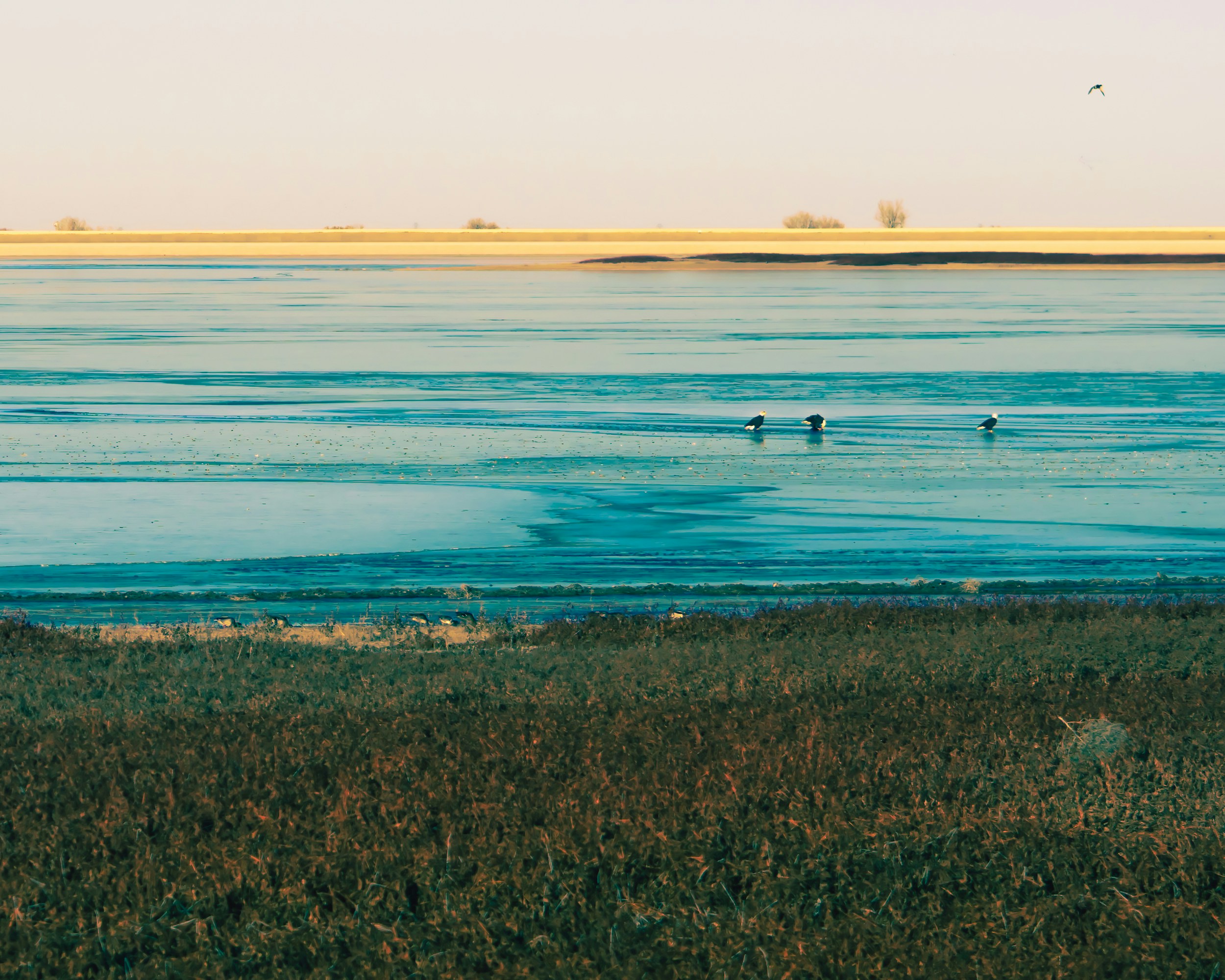 Photo by andyasmarketing