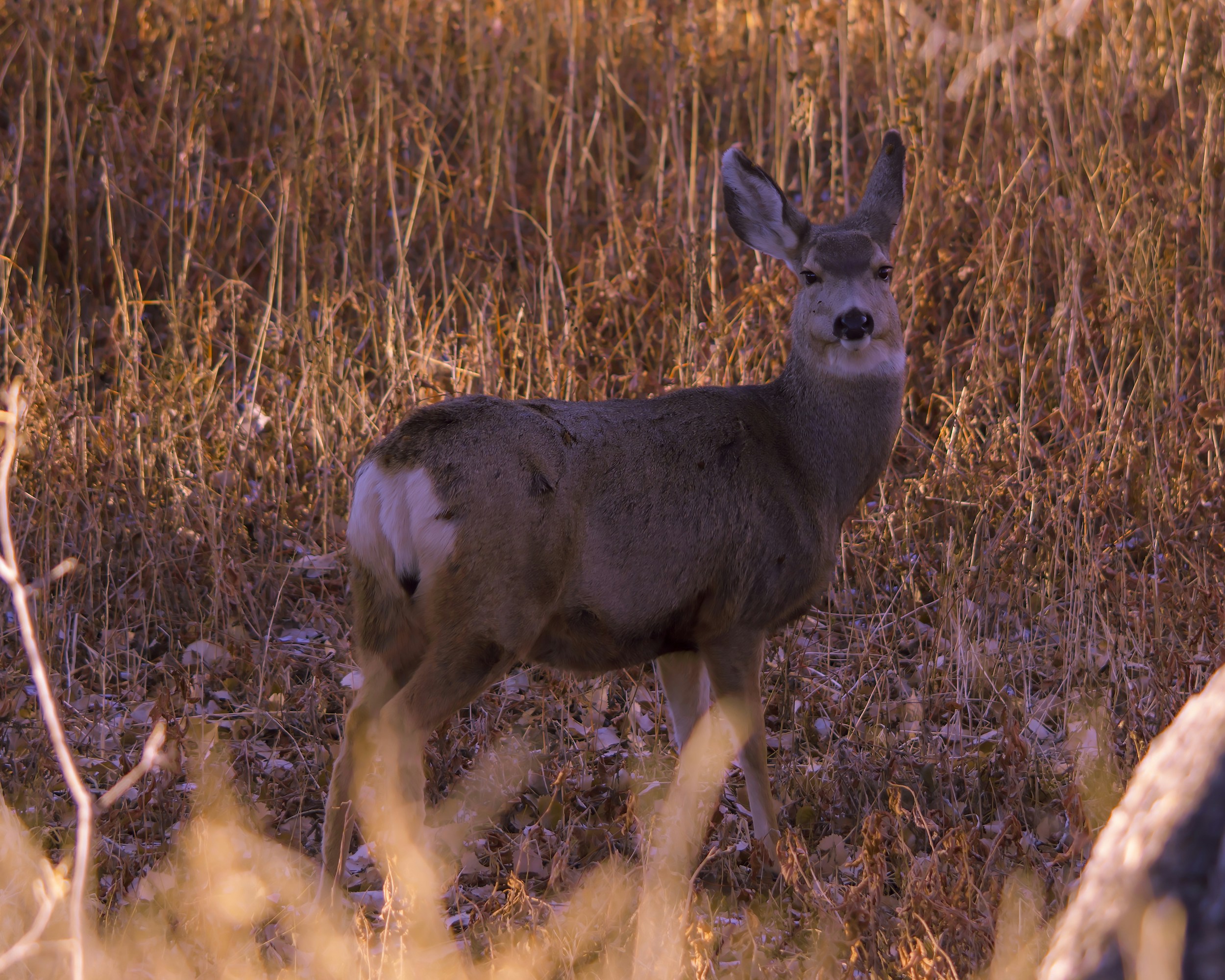 Photo by andyasmarketing