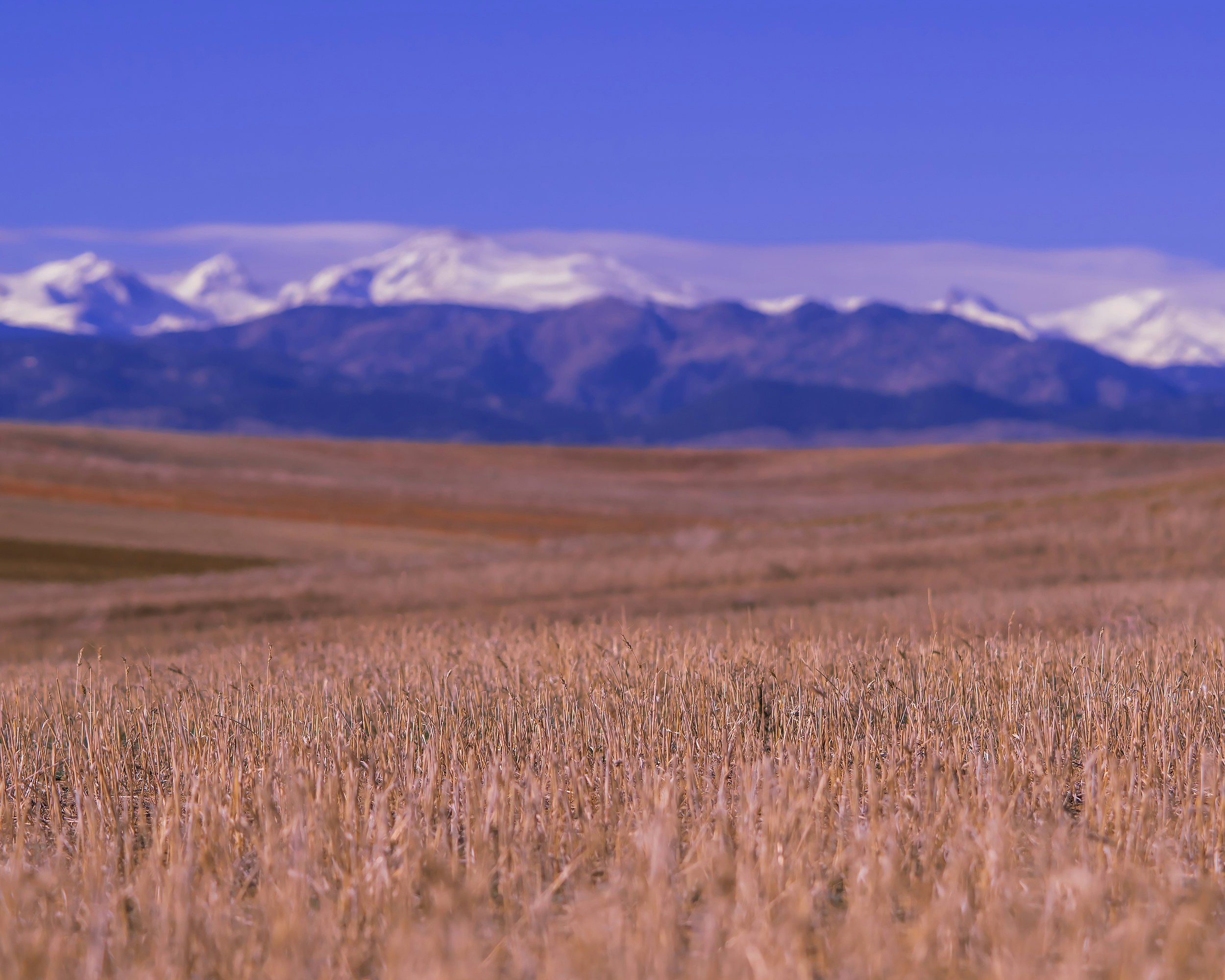 Photo by andyasmarketing