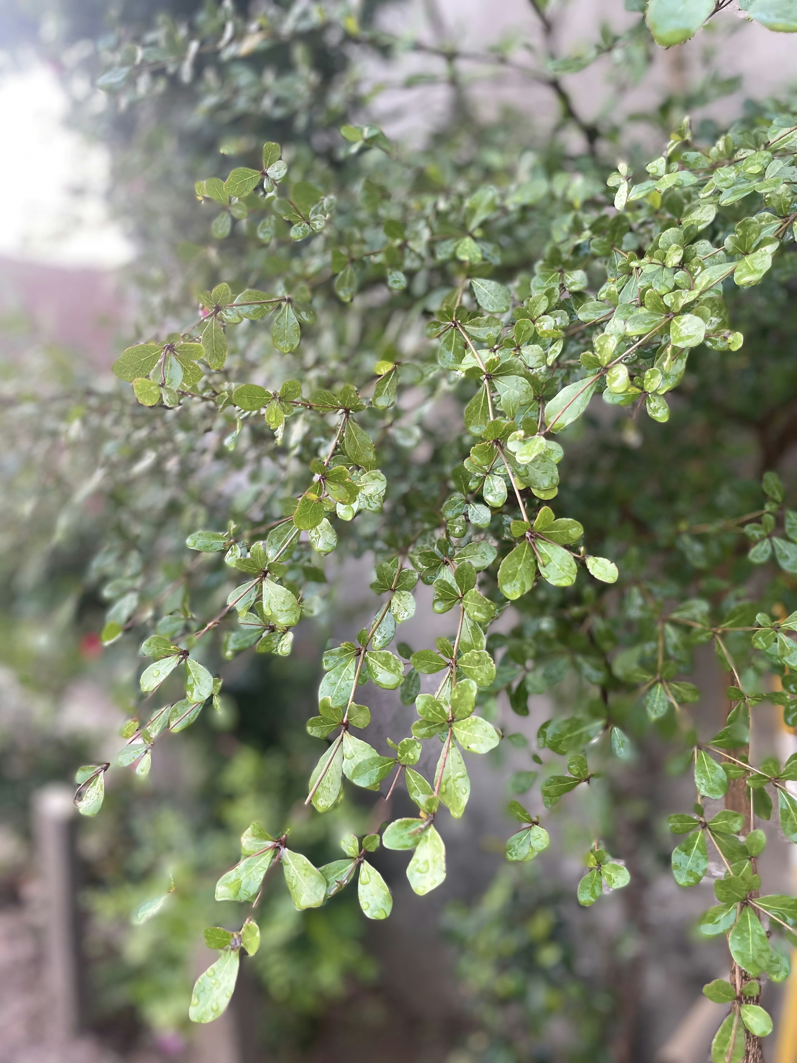 Photo by mohsin112233