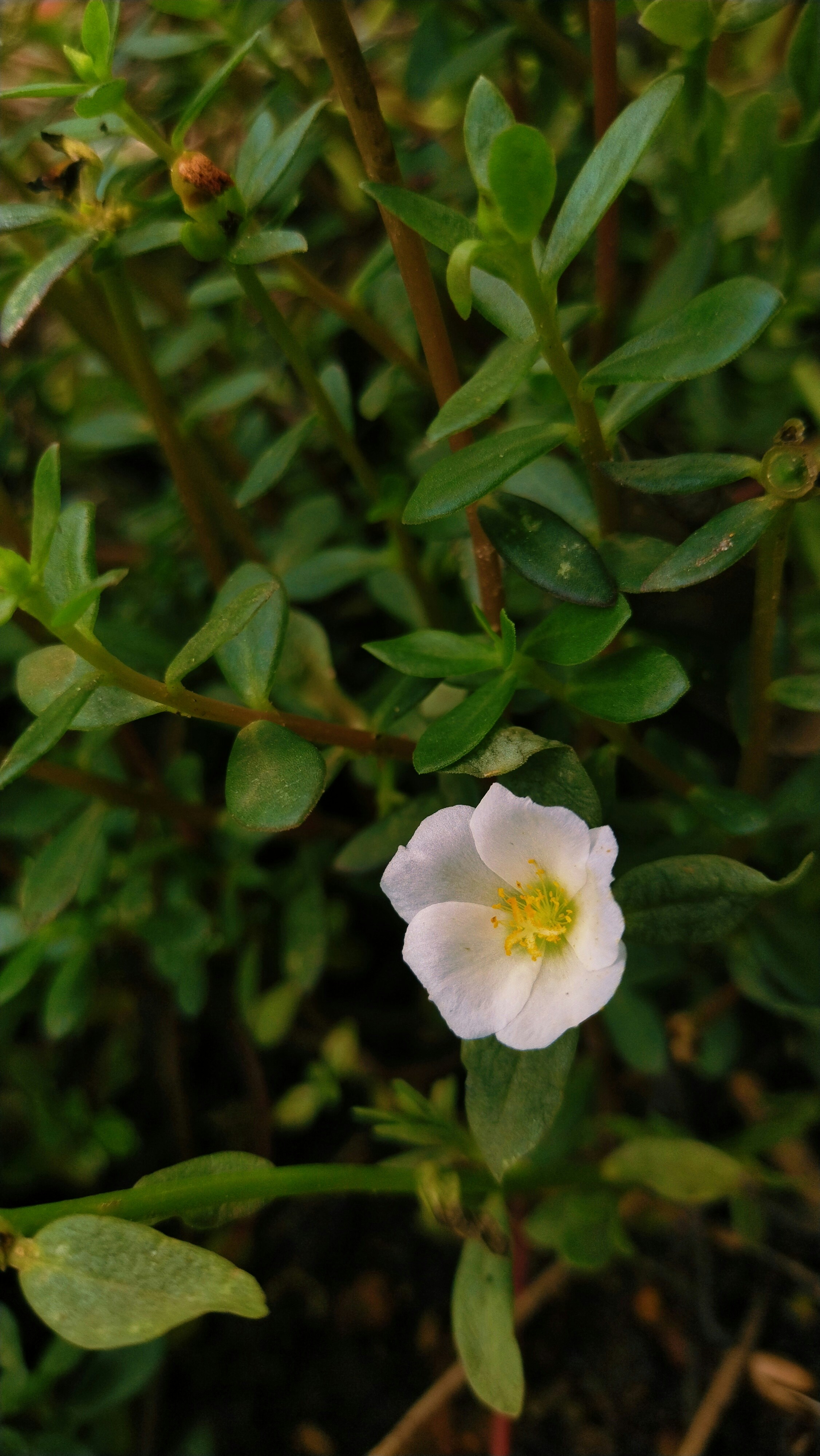 Photo by agrimas2007