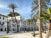 A picturesque city square with tall palm trees lining a promenade. Elegant white buildings with arched windows and decorative yellow accents stand on one side, while ornate street lamps dot the wide paved area. People stroll leisurely, enjoying the pleasant day.