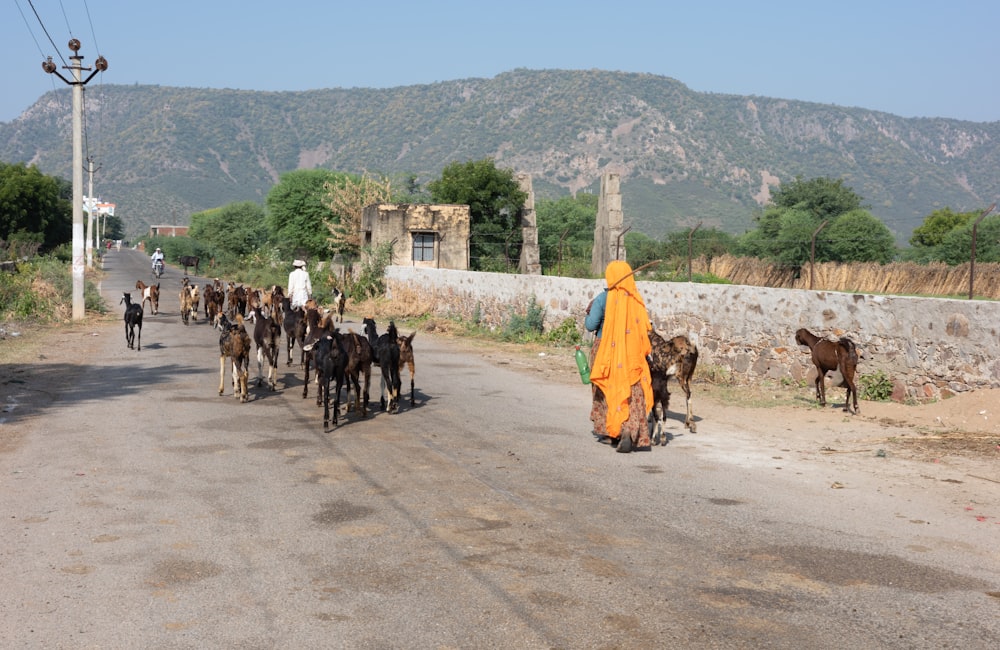 a man in a yellow outfit leading a herd of horses down a road