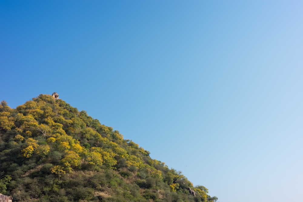 a hill with a house on top of it